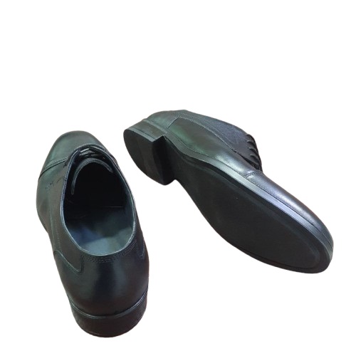 photo_2025-09-24_14-09-27-removebg-preview